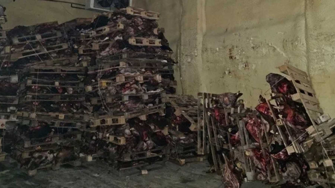 Bursa'da korkunç görüntü! Çürümüş hayvan kafaları...
