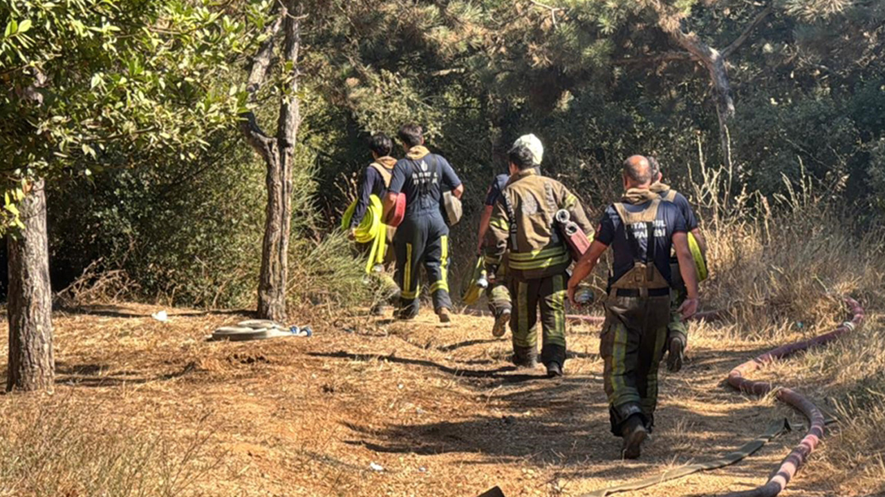 Sultangazi'de orman yangını