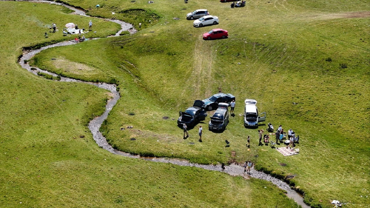 Memleket değil cennet! Karadeniz'in zirvesinde doğa harikası yaylalar görenleri mest ediyor...