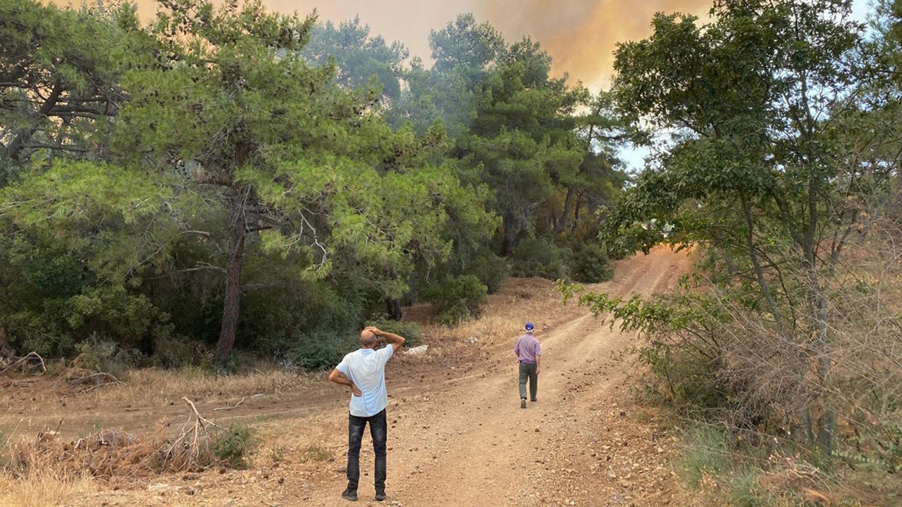 Çanakkale'de orman yangını! Havadan ve karadan müdahale ediliyor