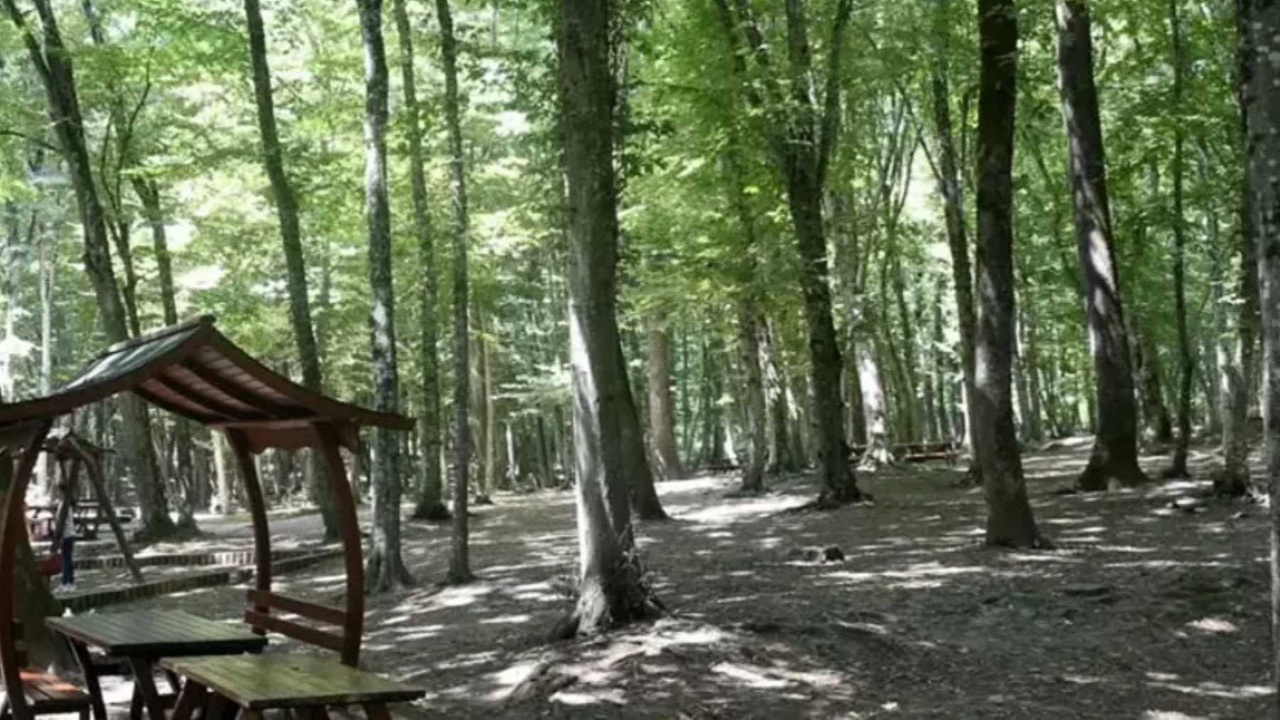 Ankara'da mangal ve ateşli pikniğe yasak