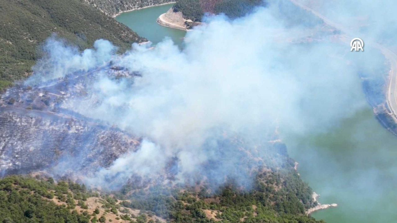 Tokat Erbaa’daki orman yangını kontrol altına alındı