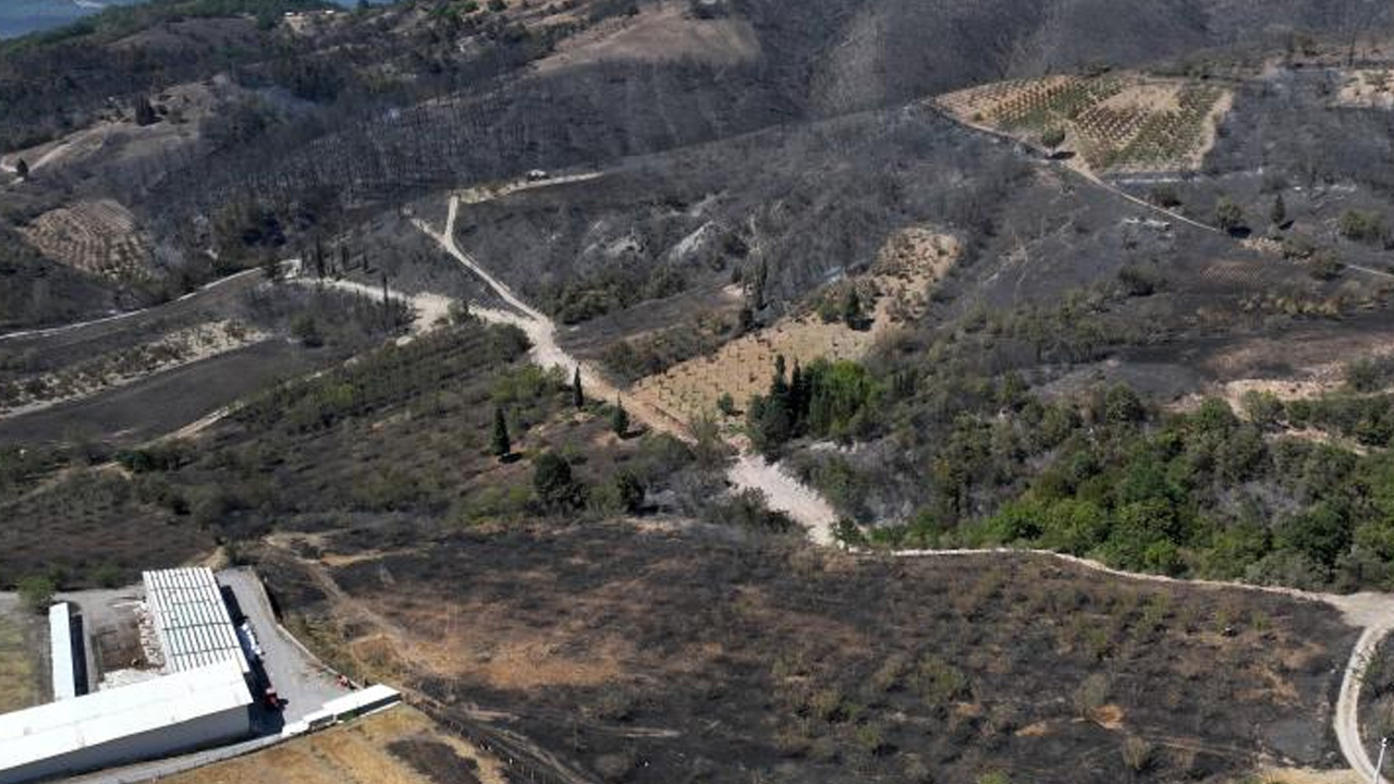 Kocaeli Karamürsel'deki orman yangını tamamen kontrol altında