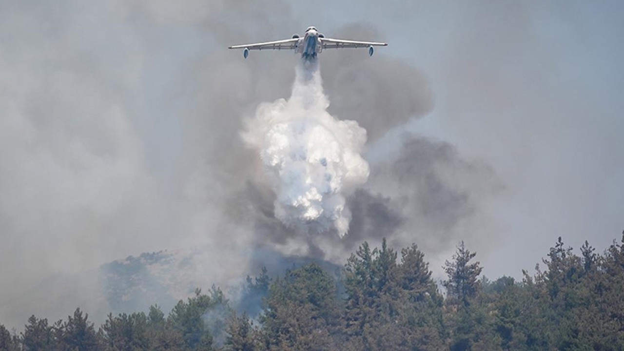 Ordu'da çıkan orman yangını söndürüldü
