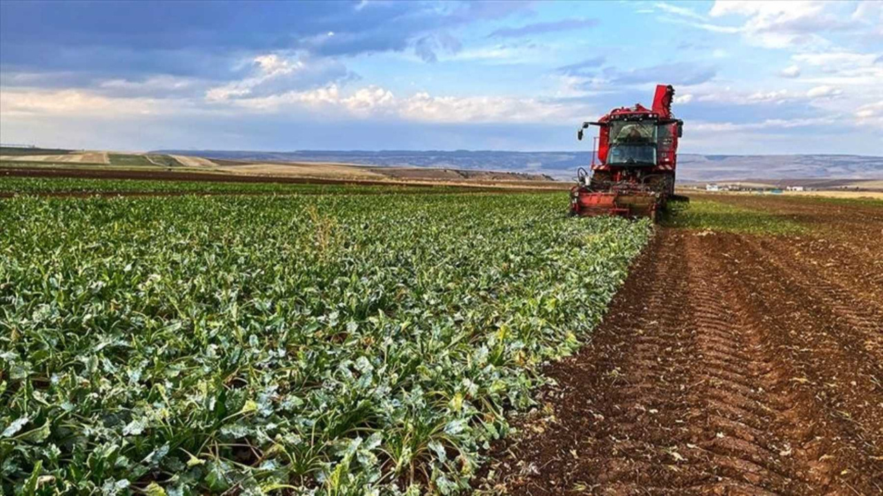Çiftçilere 772 milyon lira destek ödemesi başladı