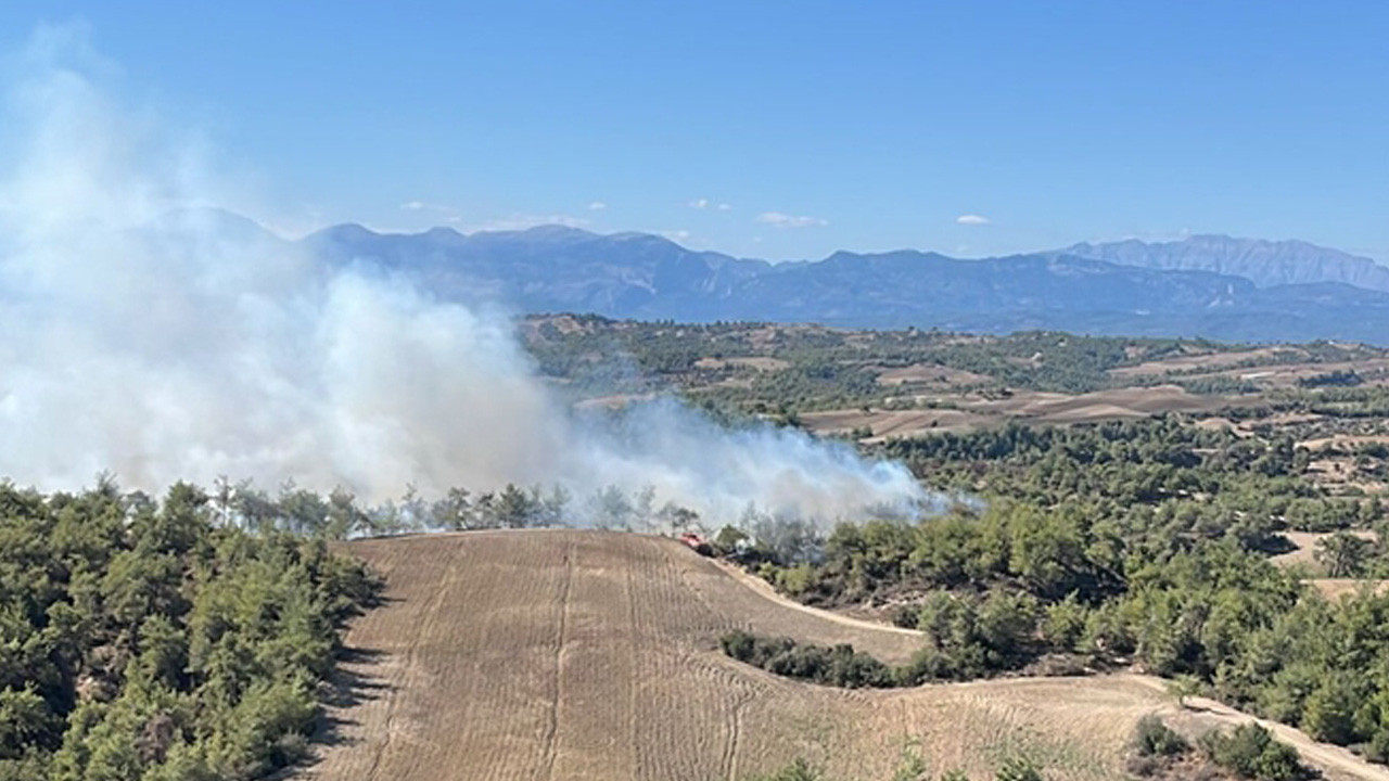 Adana'da orman yangını çıktı!