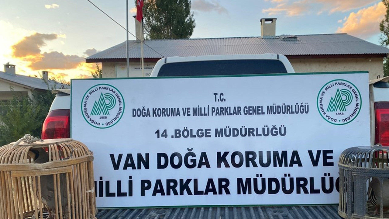 Van'da kaçak keklik avlayan kişiye binlerce lira ceza