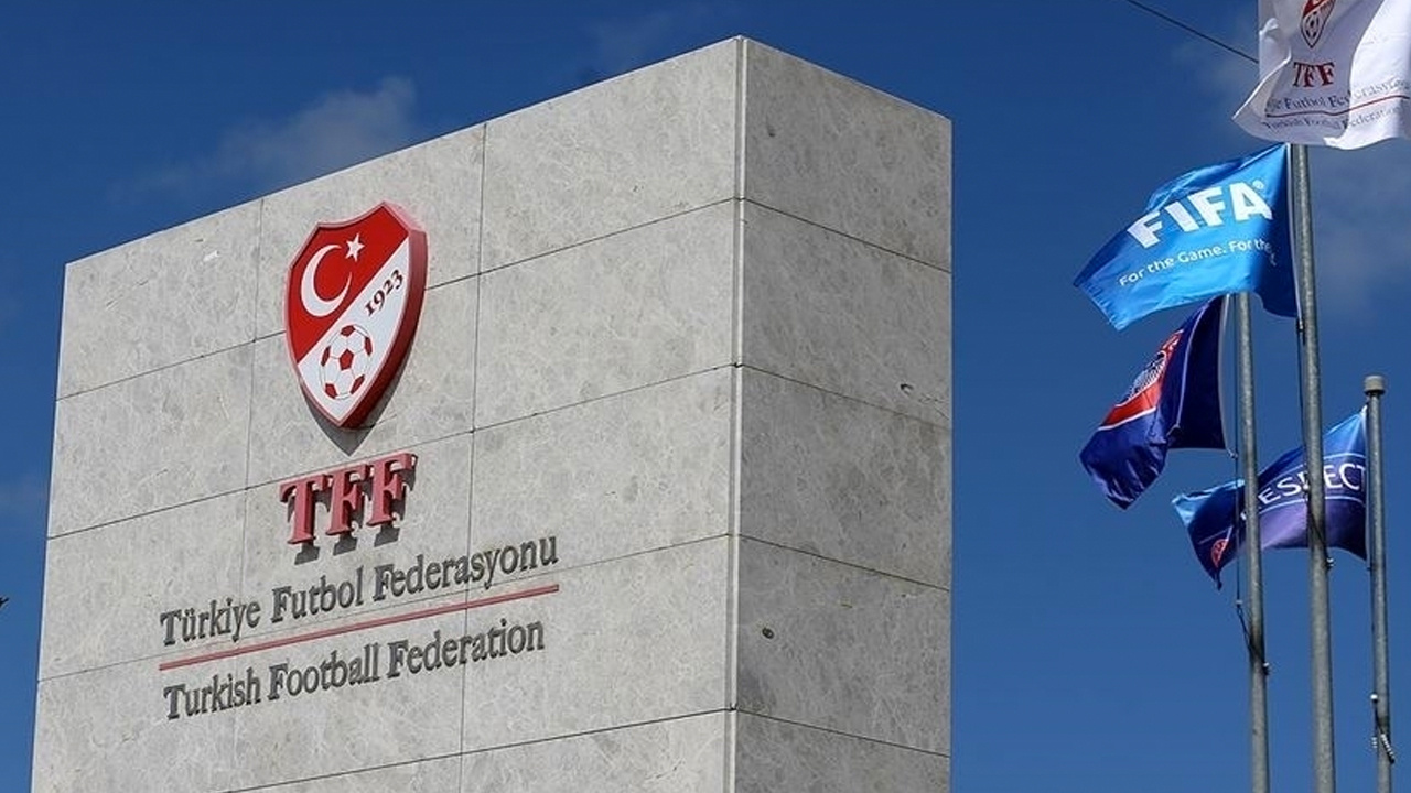 Maçta 7 yabancı oynatmıştı! PFDK'dan Sakaryaspor için flaş karar