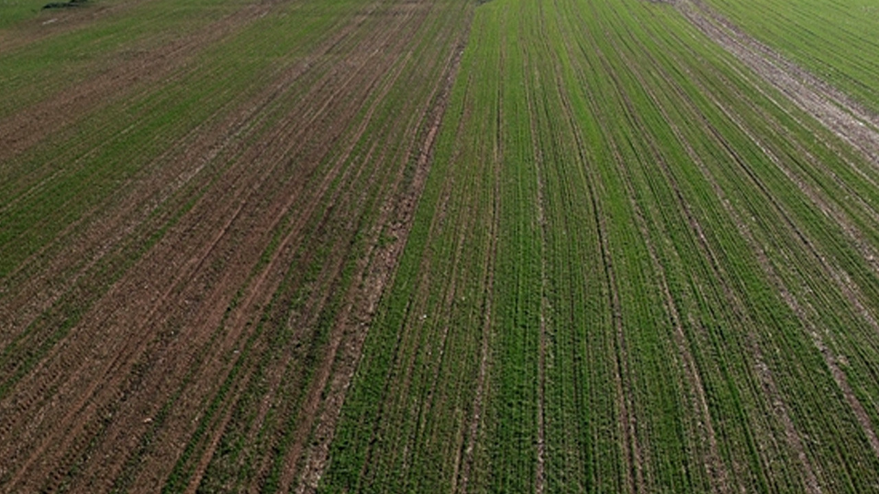 İzmir'de tarlada el bombası bulundu