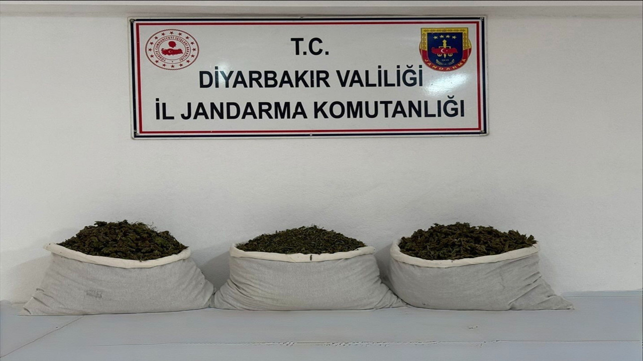Diyarbakır'da uyuşturucu operasyonlarında 15 kilogram skunk ele geçirildi