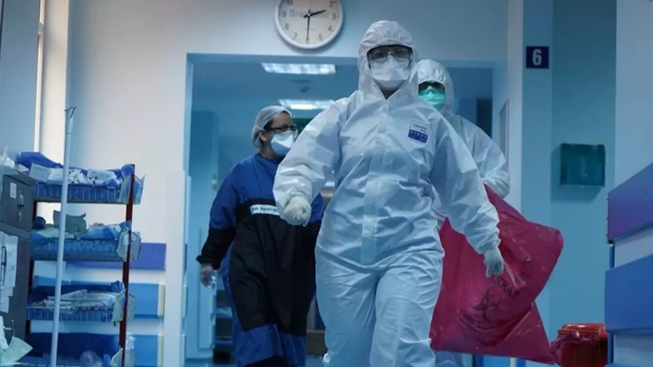 Tedavisi bulunamadı! Deli dana hastalığı kabusu Ankara'dan sonra Bolu'da görüldü...