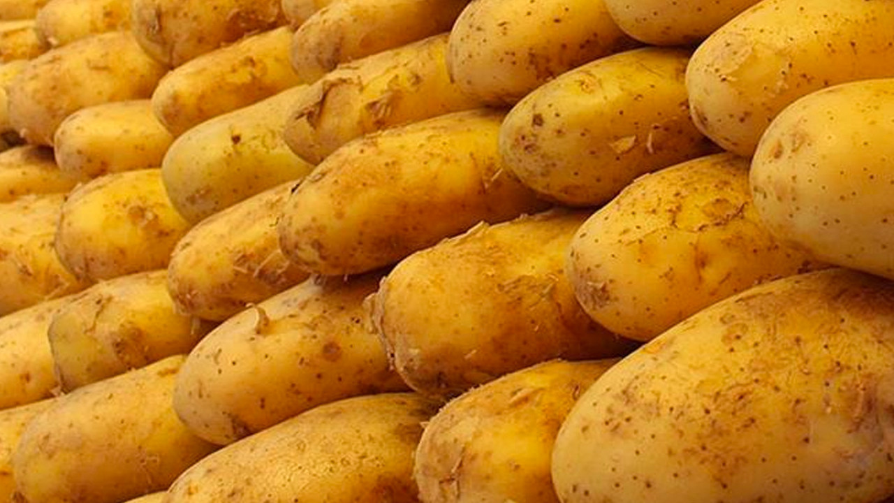 Ticaret Bakanlığından patates fiyatlarına ilişkin açıklama