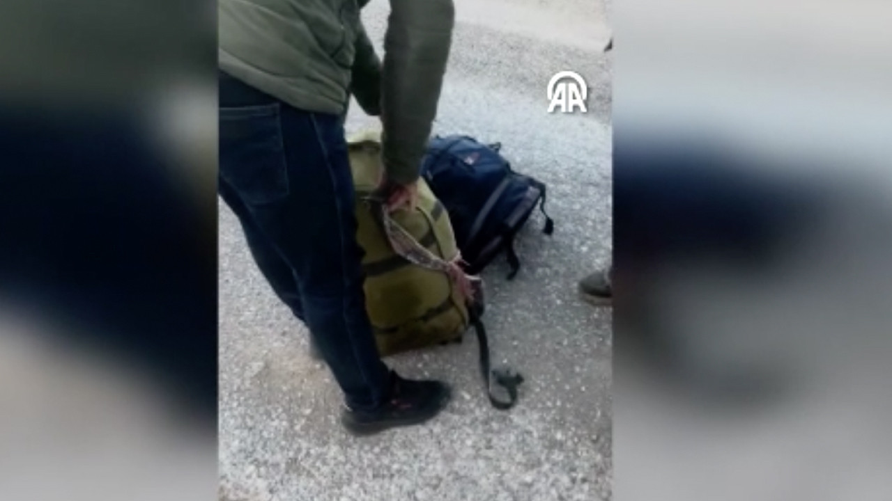 İki yaban keçisini öldürdüler! Bakın ne kadar ceza kesildi