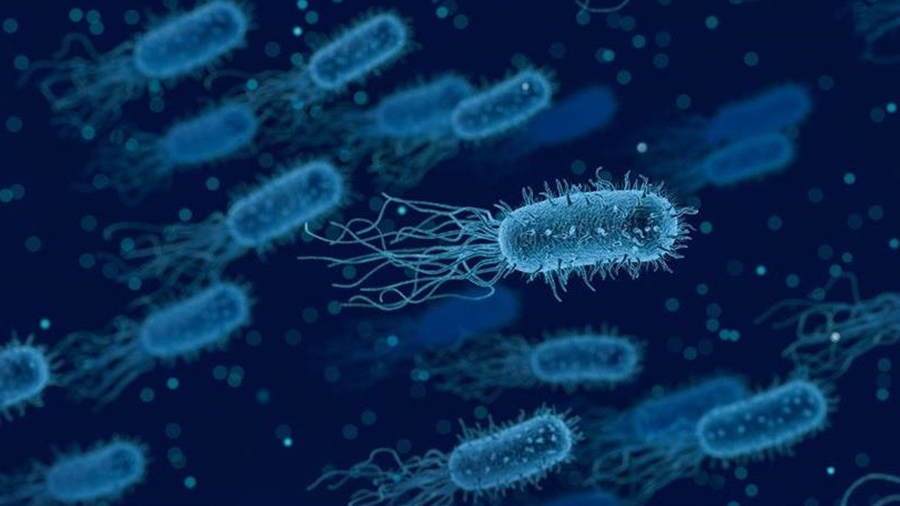 ABD'de alarm! Listeria bakterisi 6 kişiyi öldürdü: Hazır makarnadan bulaştı