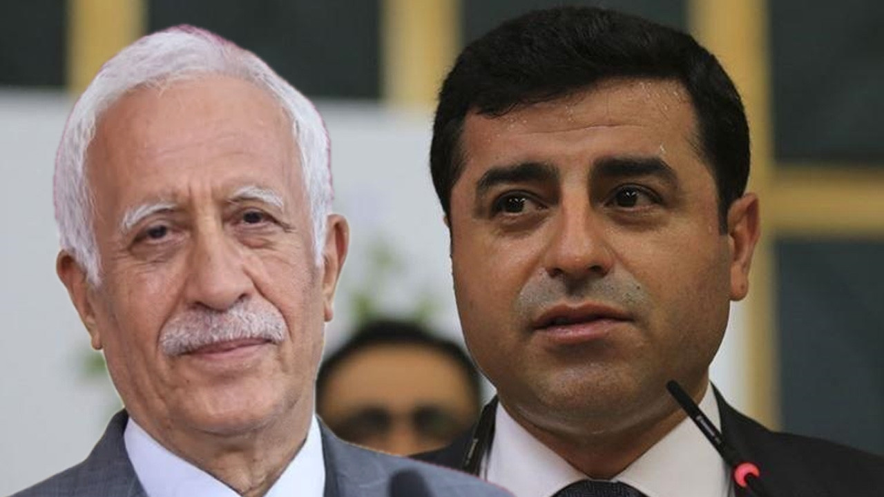 DEM Partili Çiftyürek, AİHM'in Selahattin Demirtaş kararını değerlendirdi