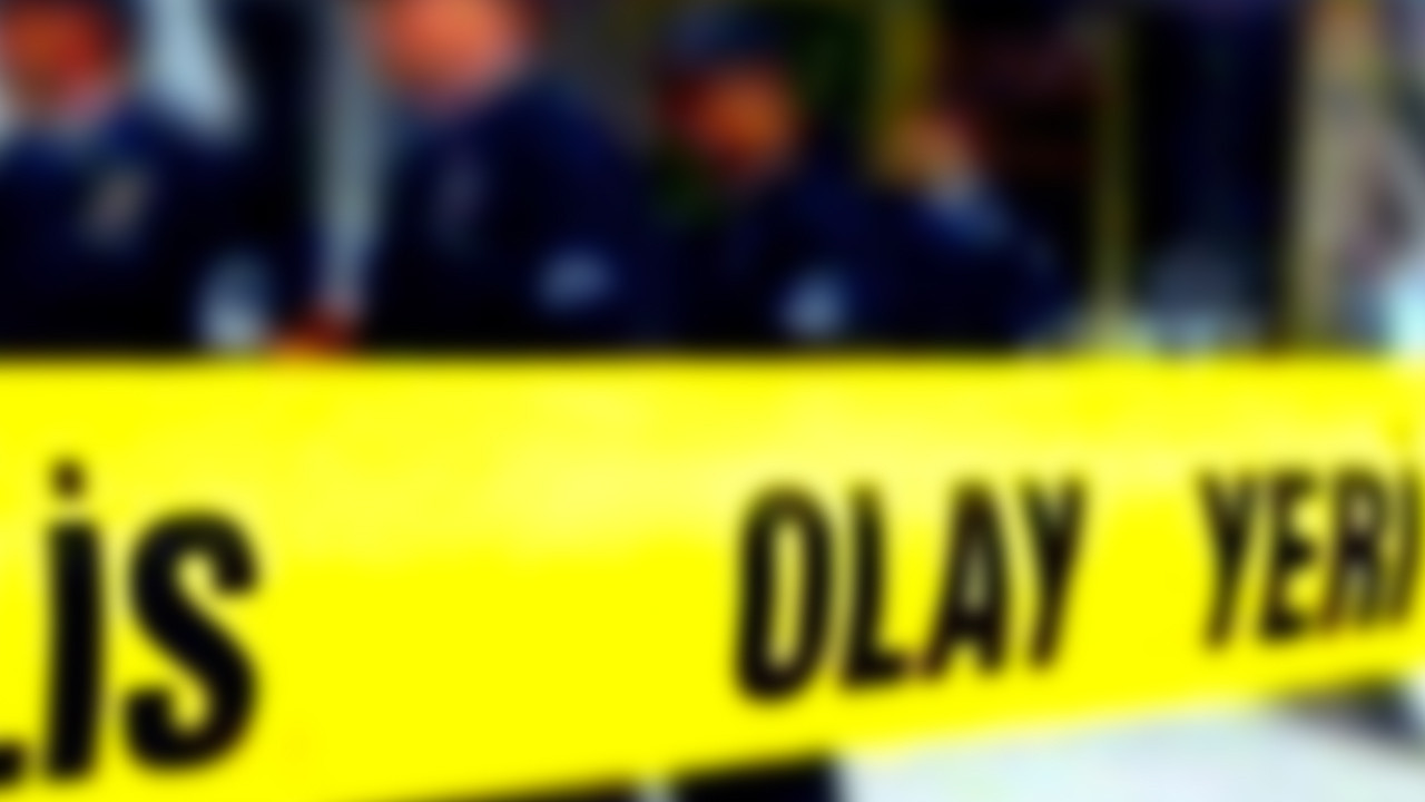 Evi ateşe verdi jandarmayı bıçakladı! Vurularak etkisiz hale getirildi