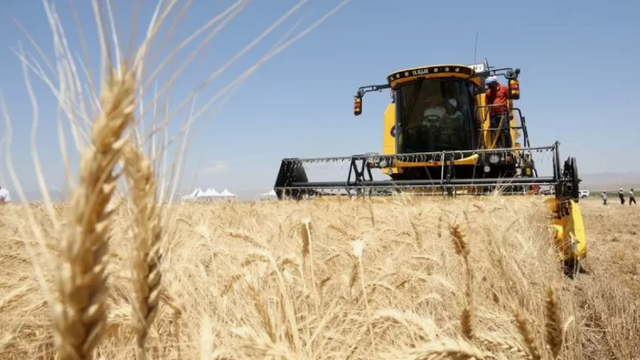 Türkiye'nin hububat, bakliyat, yağlı tohumlar ihracatı 10 ayda 10 milyar doları aştı