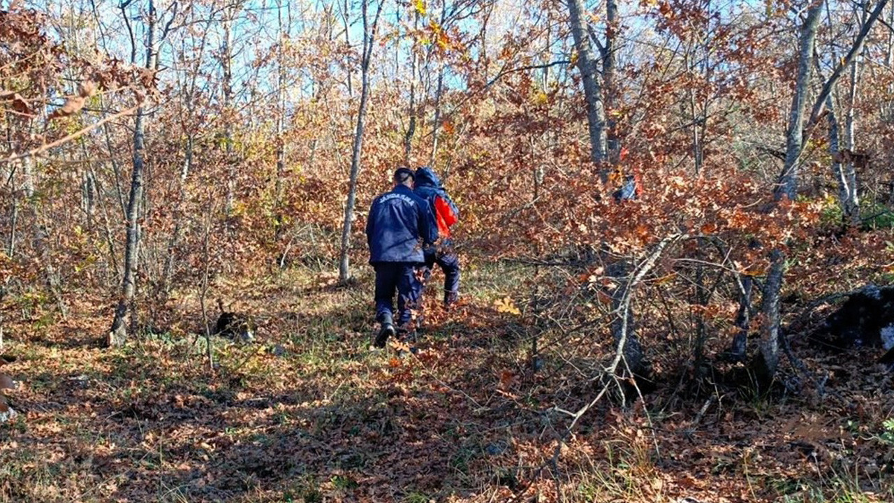 Mantar toplamaya gitti kayboldu! 96 kişilik ekip İsmail Kara'yı arıyor