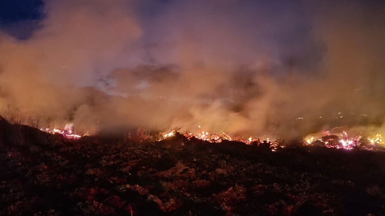 Bilecik'te arazide çıkan yangın söndürüldü