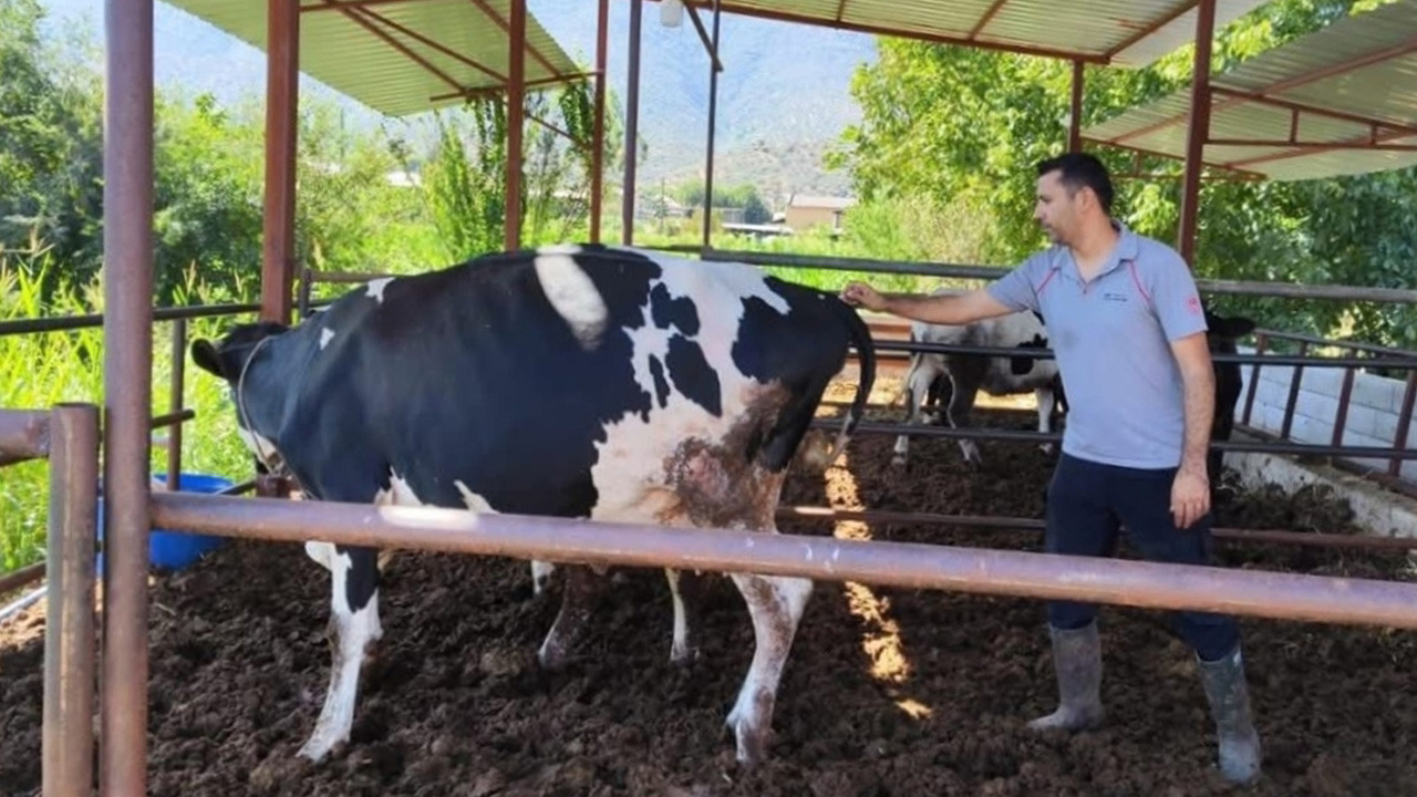 Milas'ta 11 mahalle karantinaya alındı