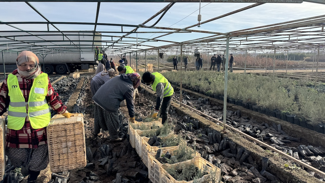 Malatya'dan Türkmenistan'a 50 bin fidan desteği