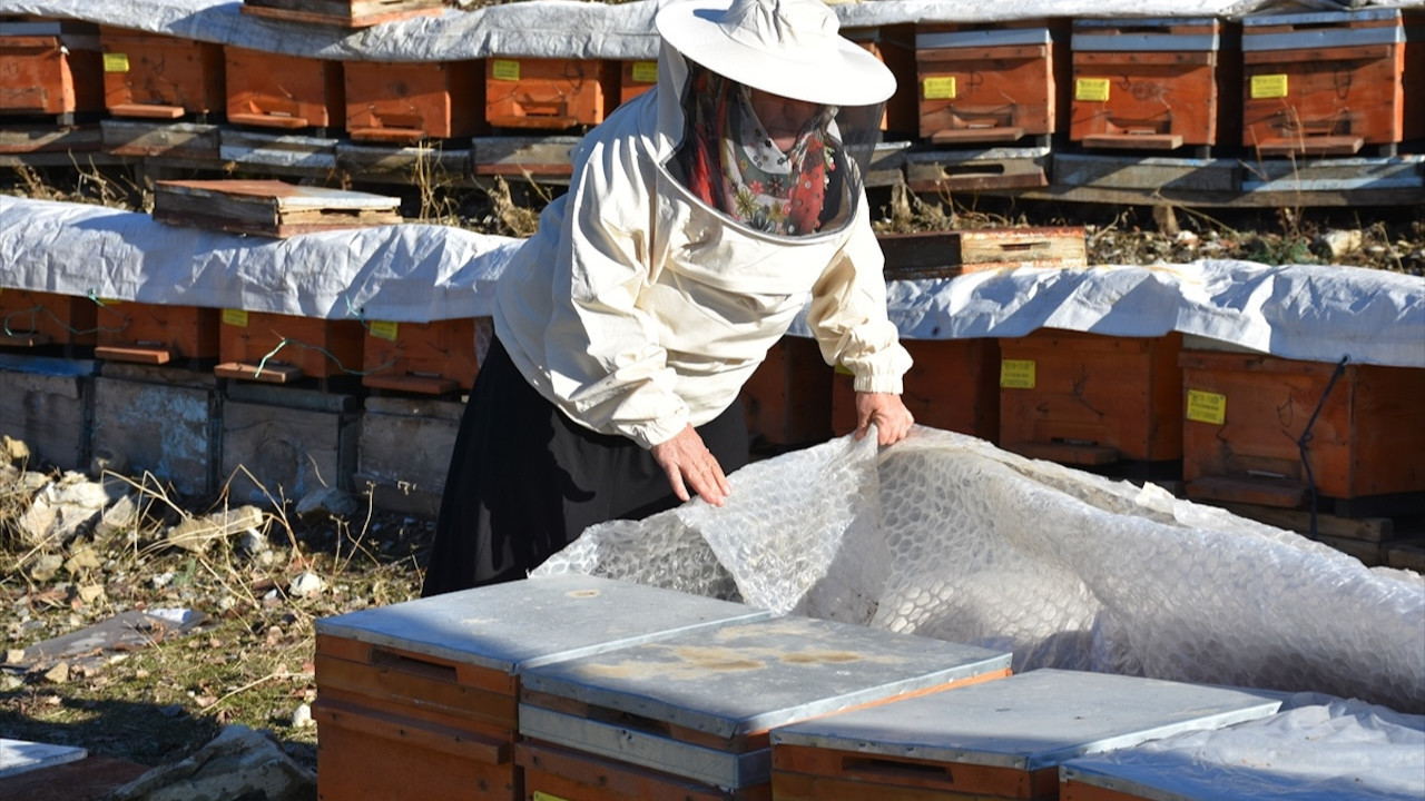 Şırnaklı kadının başarı hikayesi! Arıcılık sayesinde hem kendini kalkındırdı hem de 5 çocuğunu üniversitede okuttu