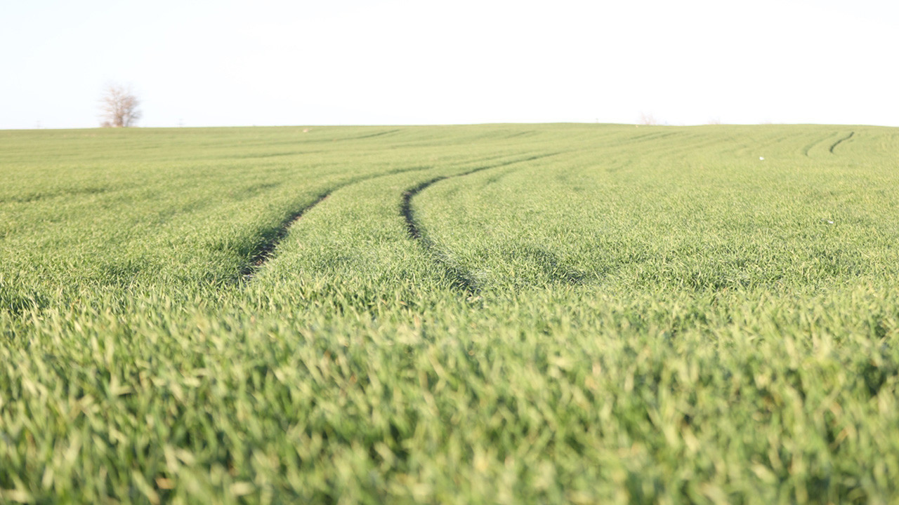 Mayıs ayında olması gereken şimdi oldu! Hava sıcak…
