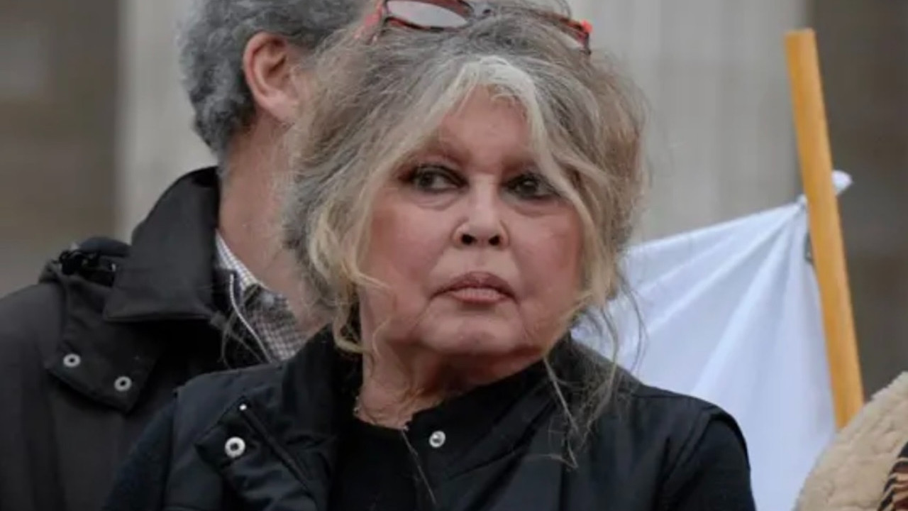 Fransız artist Brigitte Bardot hayatını kaybetti! Brigitte Bardot kimdir, hangi yapımlarda yer aldı?