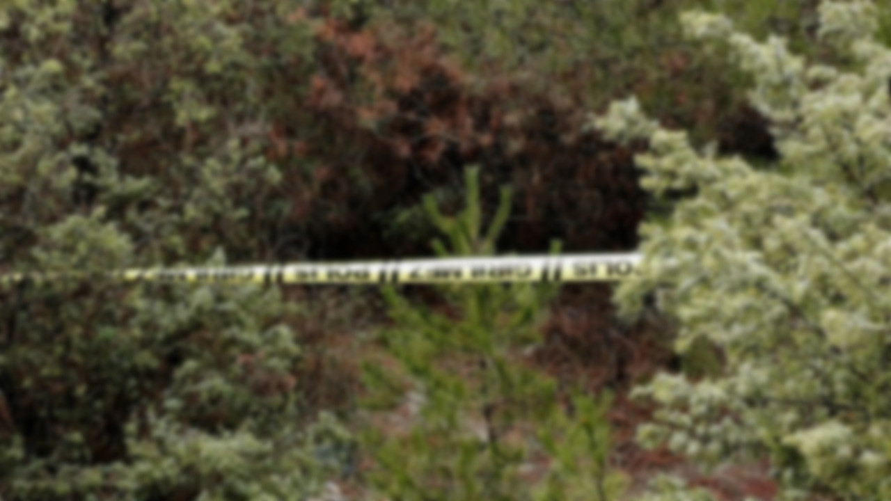 Mantar toplamak için ormanlık alana gitti ölü bulundu