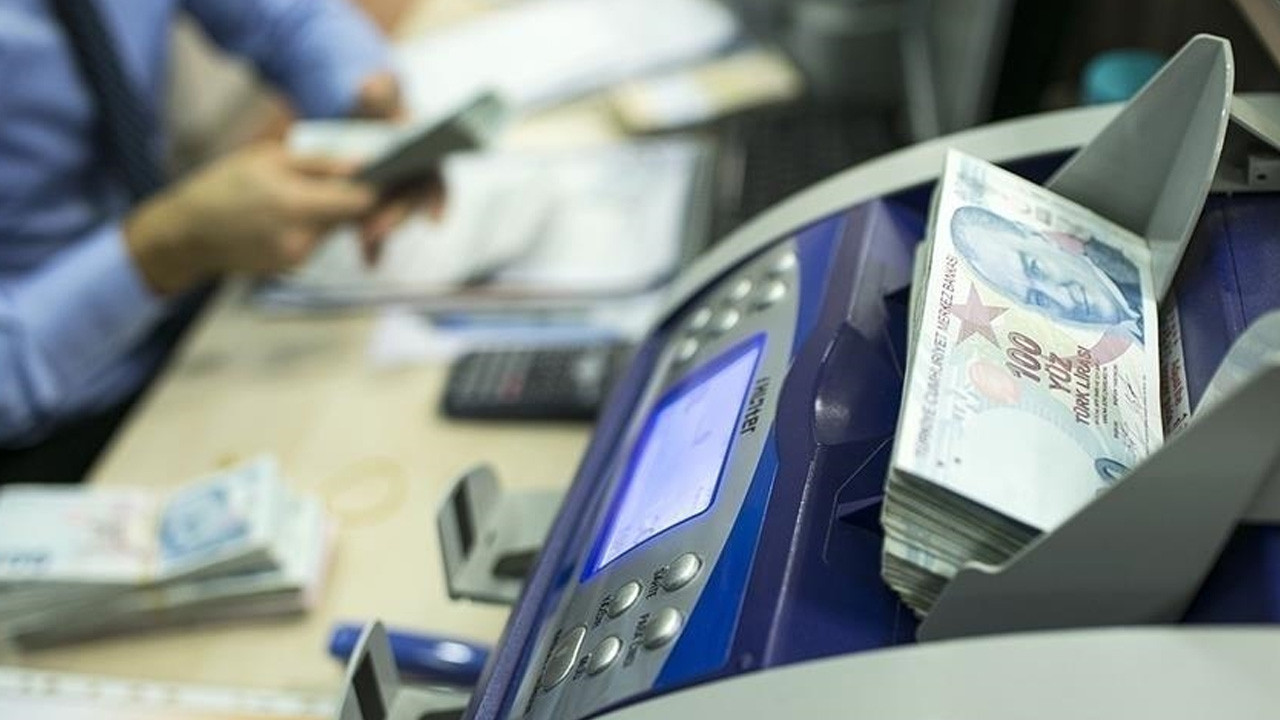 Engelli ve eski hükümlülere yönelik hibe desteği başvuruları başladı