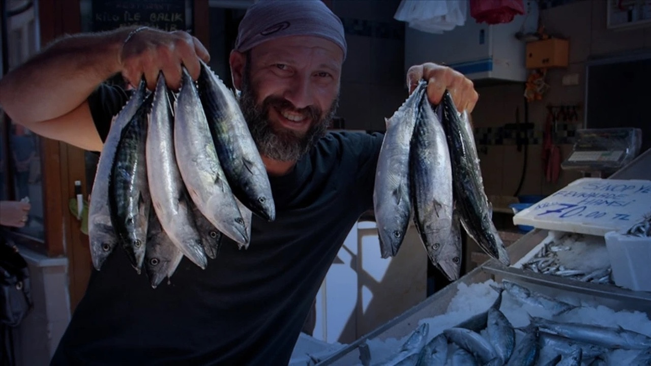 Hava şartları etkiledi! Palamut bolluğu yaşanıyor...