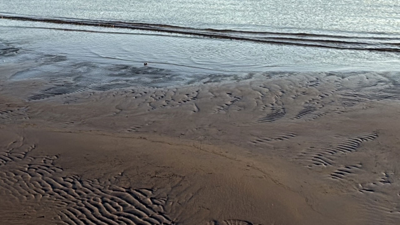 Deniz suyu çekildi! Muğla'da şaşırtan görüntü