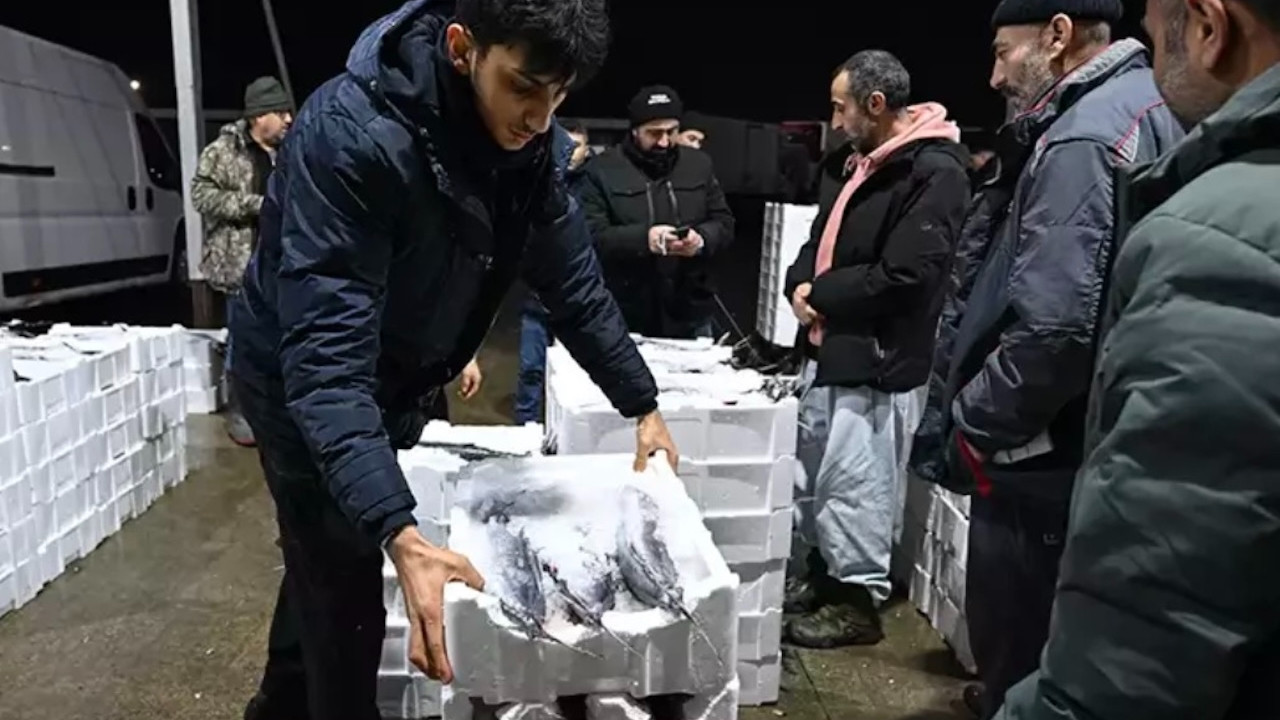 Fiyatı dudak uçuklatıyordu! 40 yıl sonra yeniden Marmara'da çıktı