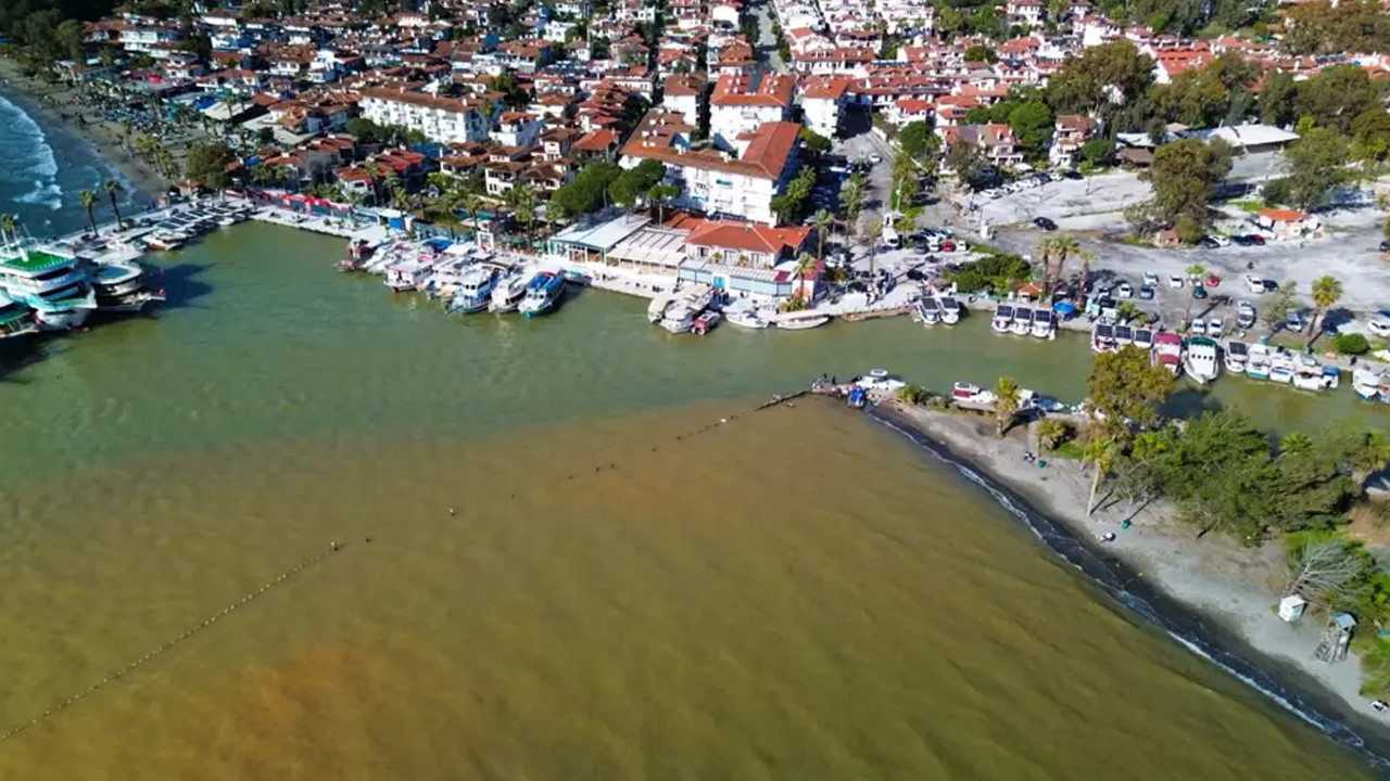 Akyaka'da denizin rengi kahverengiye döndü
