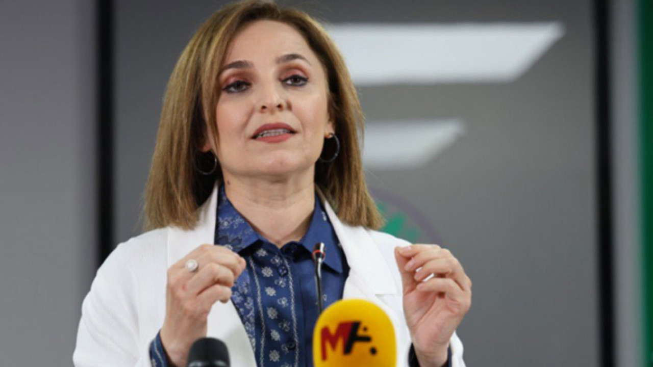 DEM Partili Ayşegül Doğan'dan 'Ankara' mesajı