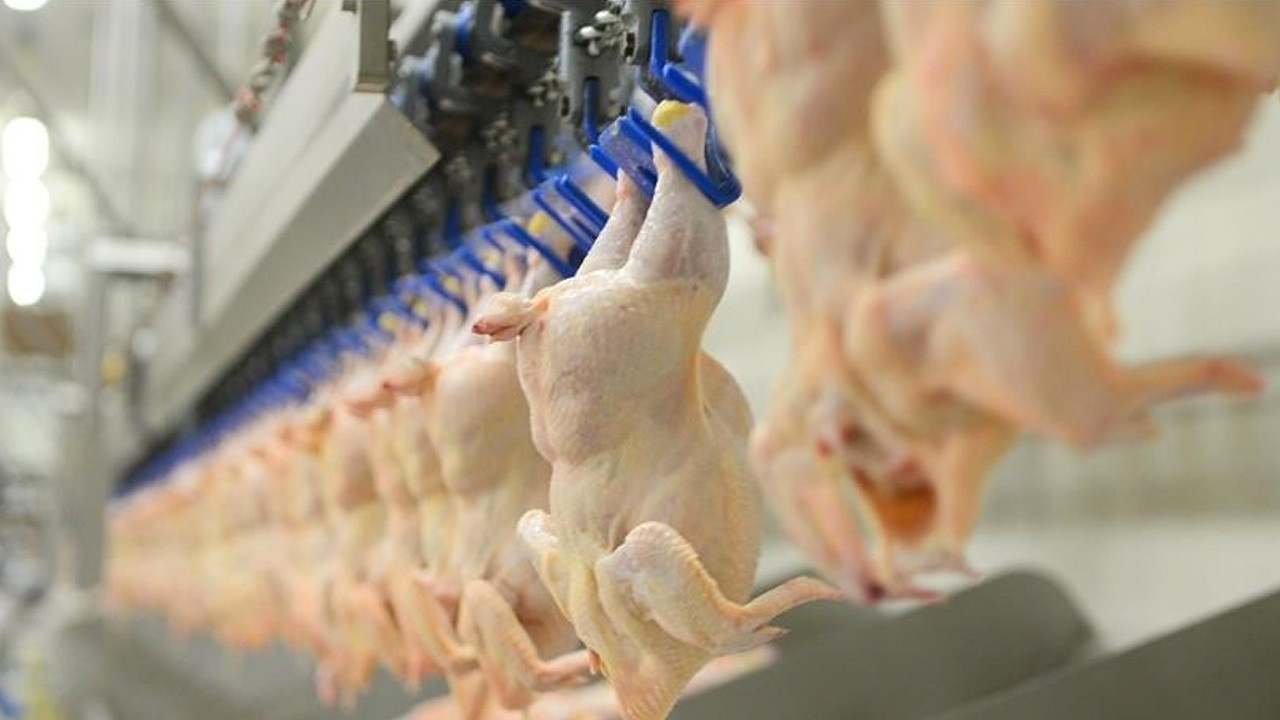 Ticaret Bakanlığı, tavuk ihracatını durdurma kararı aldı