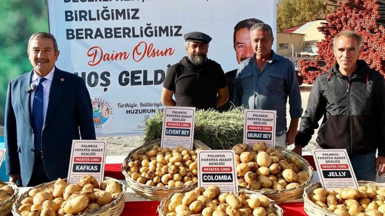 Palanga Patates Şenliği yoğun katılımla gerçekleştirildi