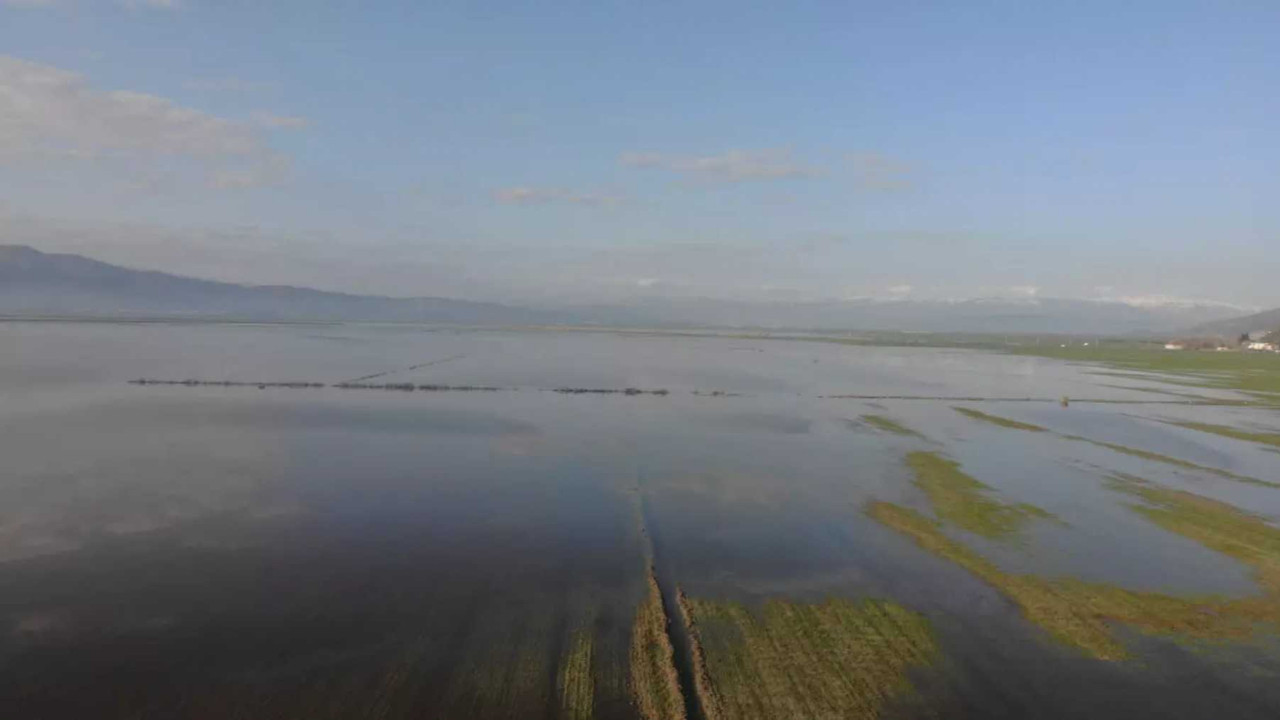 Kahramanmaraş’ta 20 bin dönüm arazi sular altında