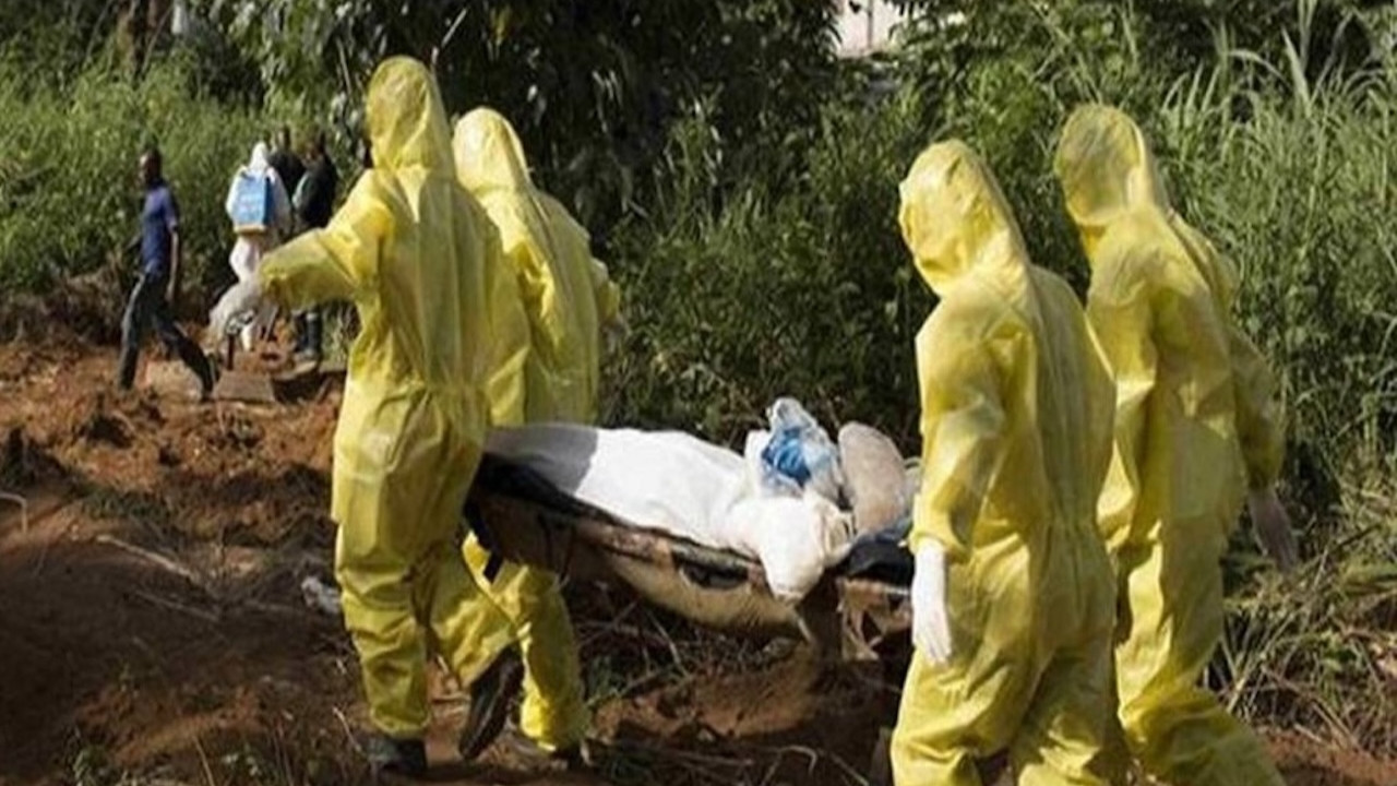 Nijerya'da panik! Lassa ateşi hastalığı can almaya devam ediyor