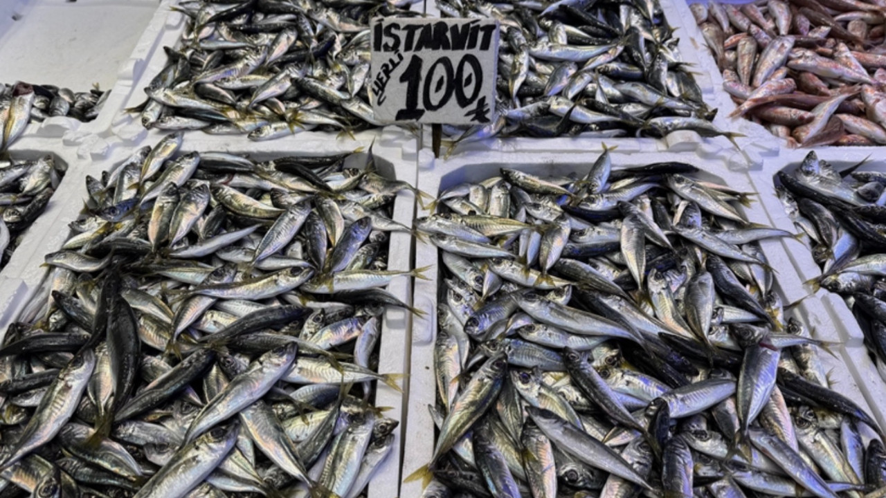 İstanbul'da bu ay en çok tüketilen balık şaşırttı! Hamsiyi bile solladı...