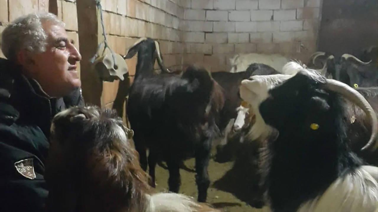 Keçi sürüsü için Afgan çoban bulan köylü öyle bir hale düştü ki...