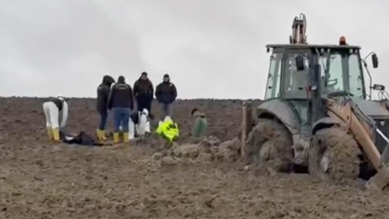 Çin uyruklu kişiyi İstanbul'da öldürüp gömdüler! Kan donduran olayın detayları çıktı, meğer sevgilisi...