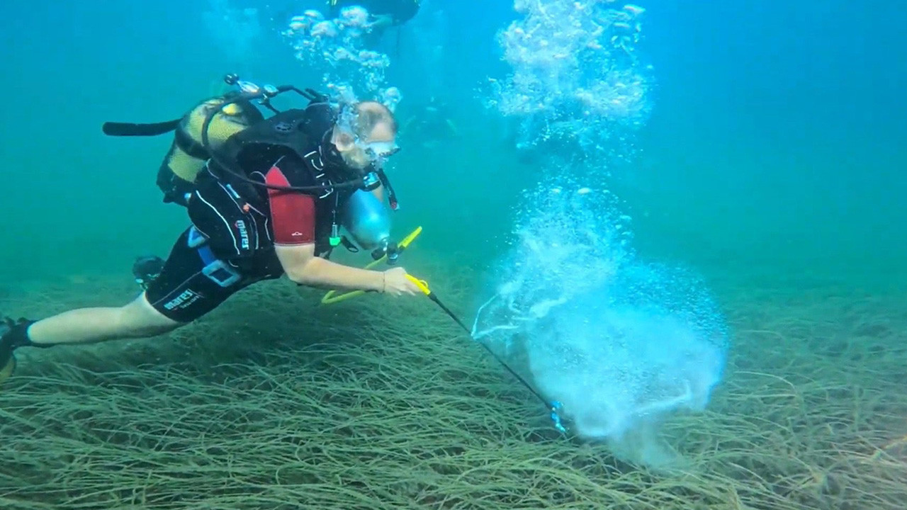 Next Garanti BBVA ve TURMEPA "Mavi Nefes Projesi" ile deniz çayırlarını koruyor