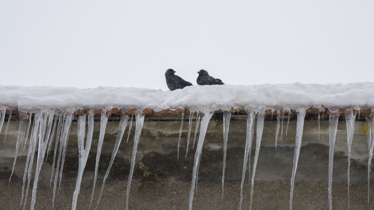 Erzurum, Ardahan ve Kars'ta dondurucu soğuklar sürüyor