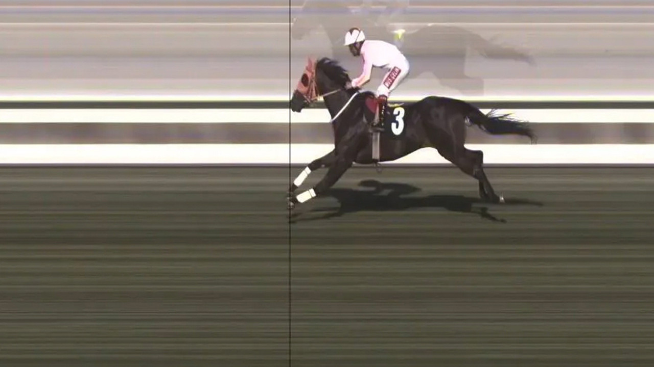 Kavurma olan şampiyon yarış atı Smart Latch şoke eden detay! Meğer hala...