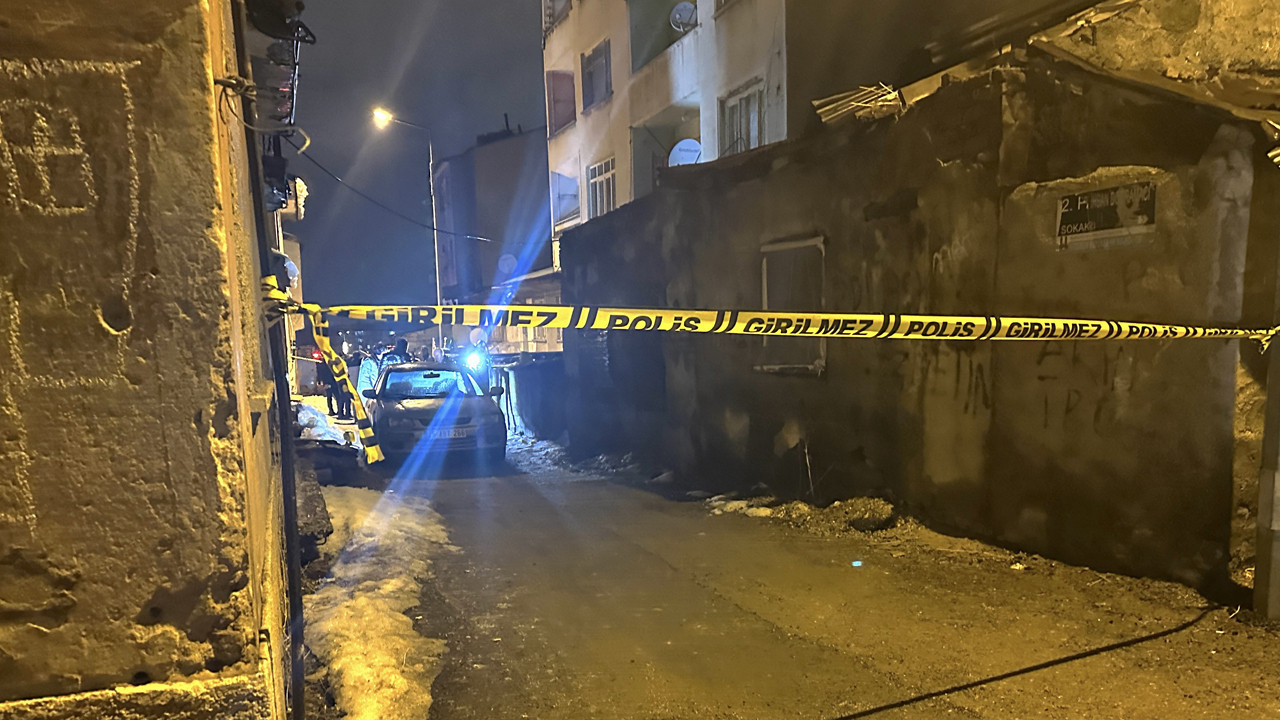 Erzurum'da vahşet! Yola görenler ekiplere haber verdi