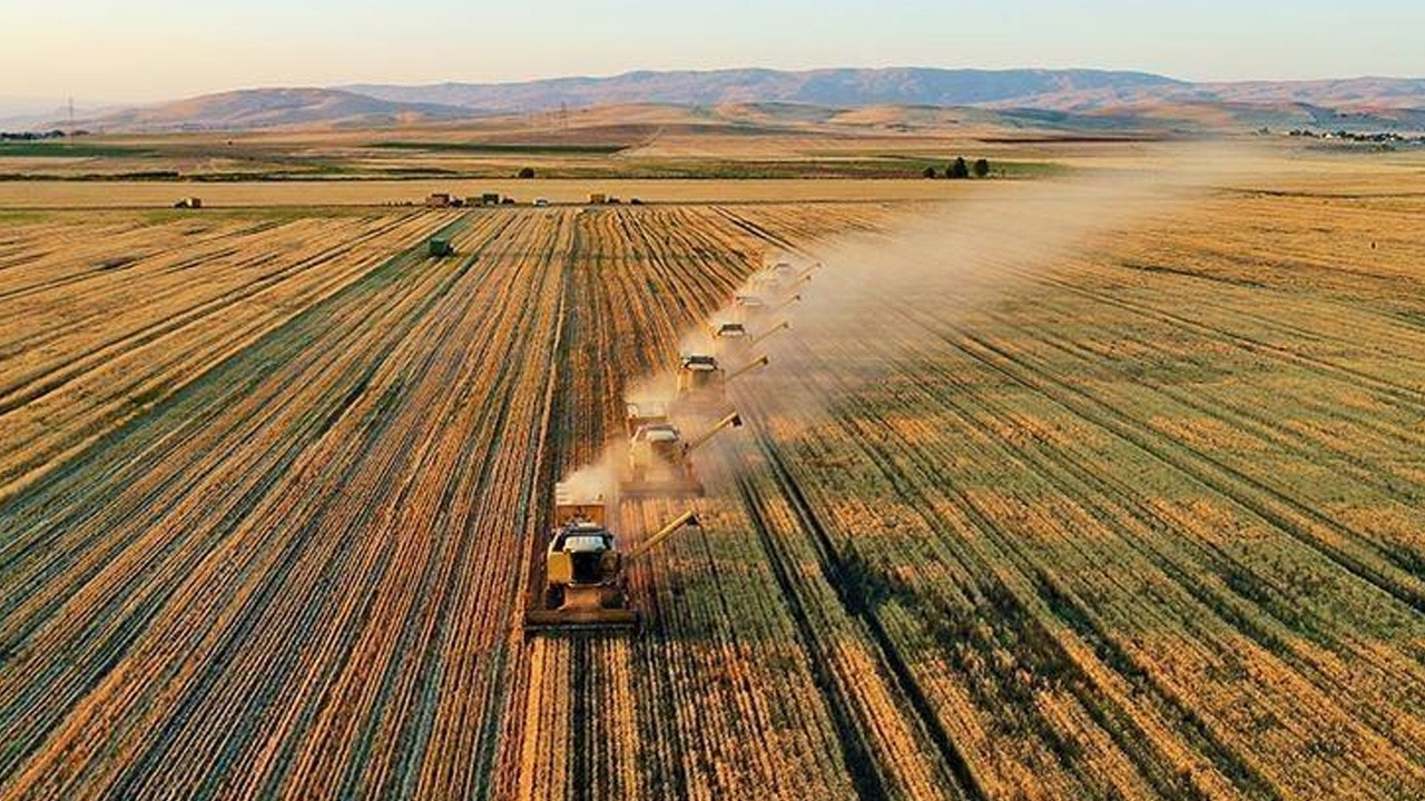 Çiftçilere 8,7 milyar lira tarımsal destekleme ödemesi bugün yapılacak