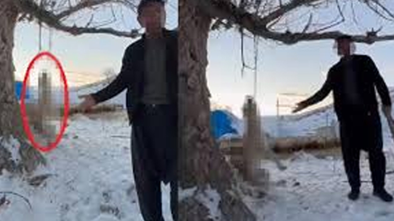 Kayseri'de köpeği ağaca asarak öldüren zanlı tutuklandı