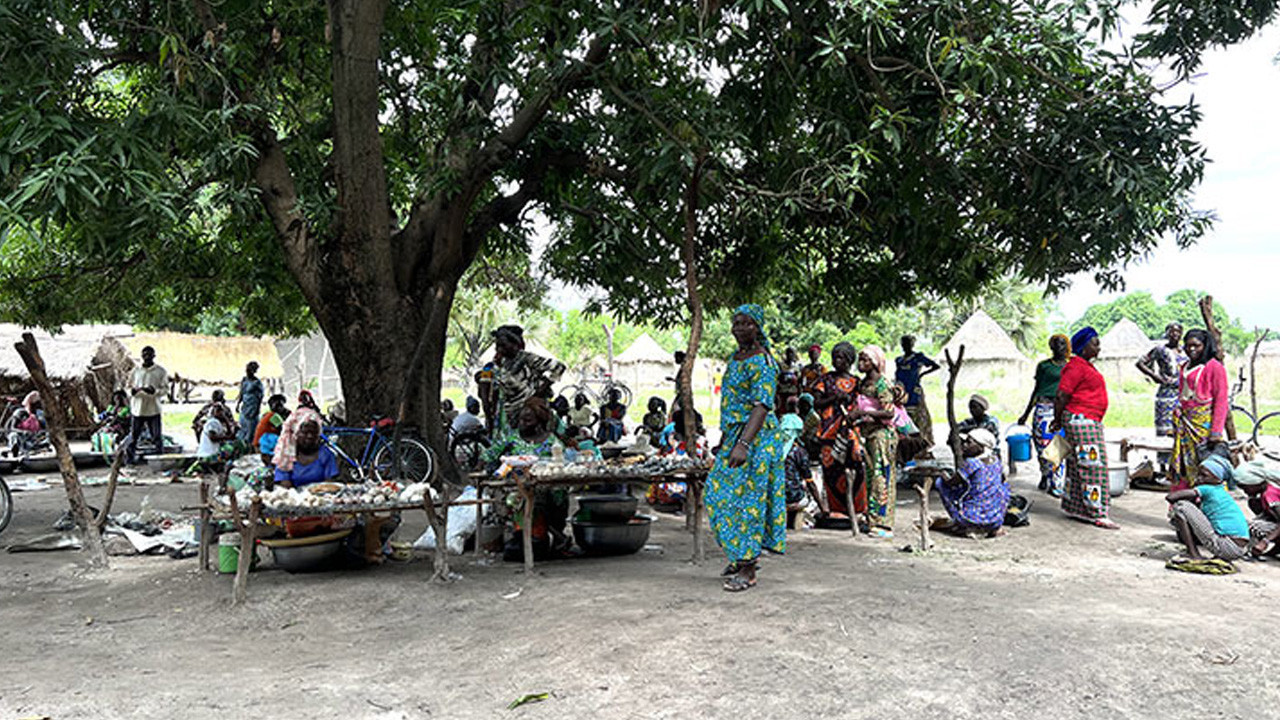 Su kuyusu kavgasında katliam yaşandı! 42 kişi hayatını kaybetti