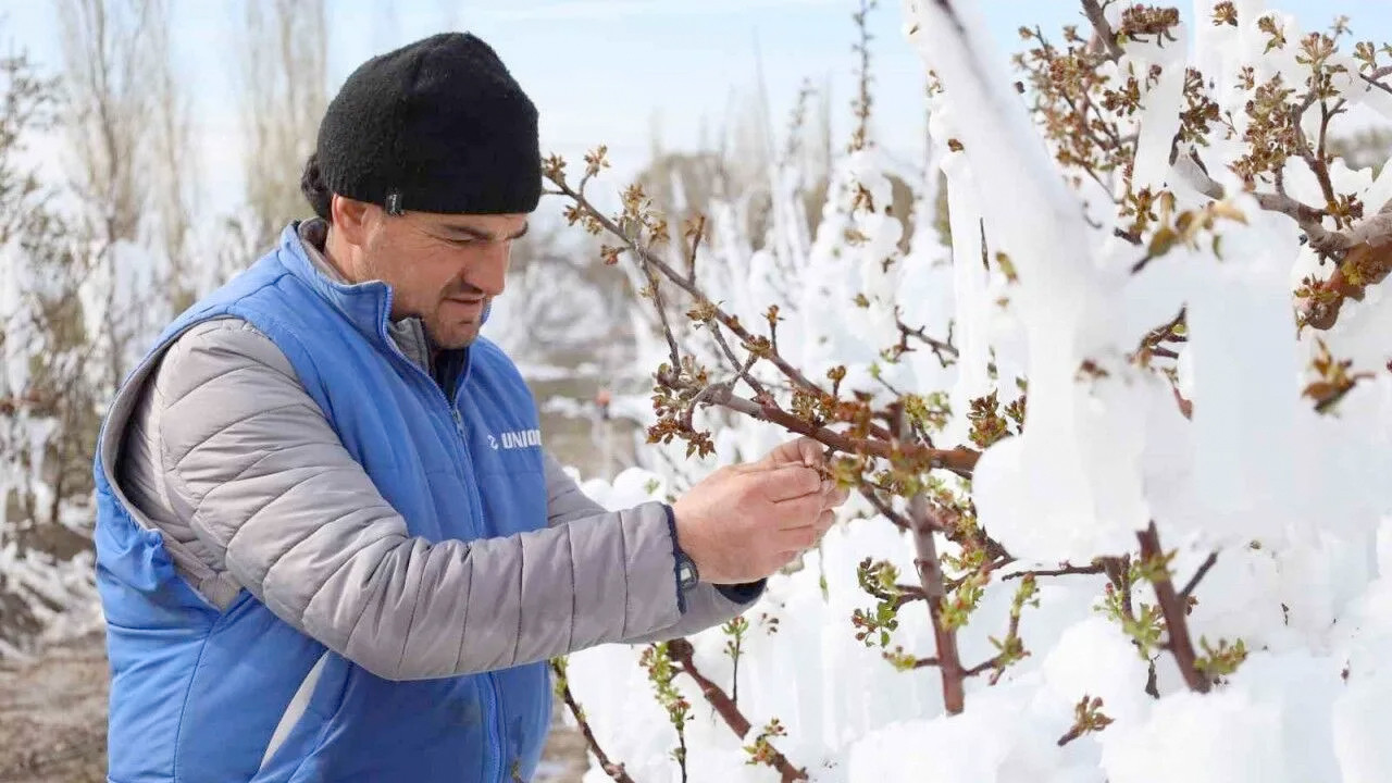 Türkiye kışı yaşacak sürpriz kar geliyor! Isı 15 derece düşüyor don alarmı